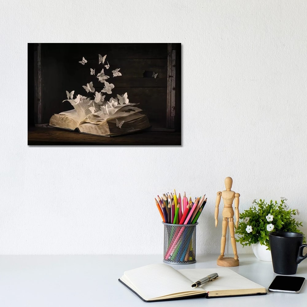 iCanvas "Lepidopterology" by Heather Bonadio Canvas Print