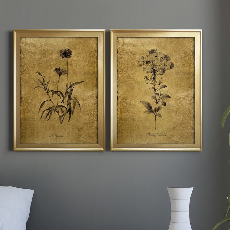 Gold Sketch Botanical I Premium Framed Print - Ready to Hang - Multi-Color