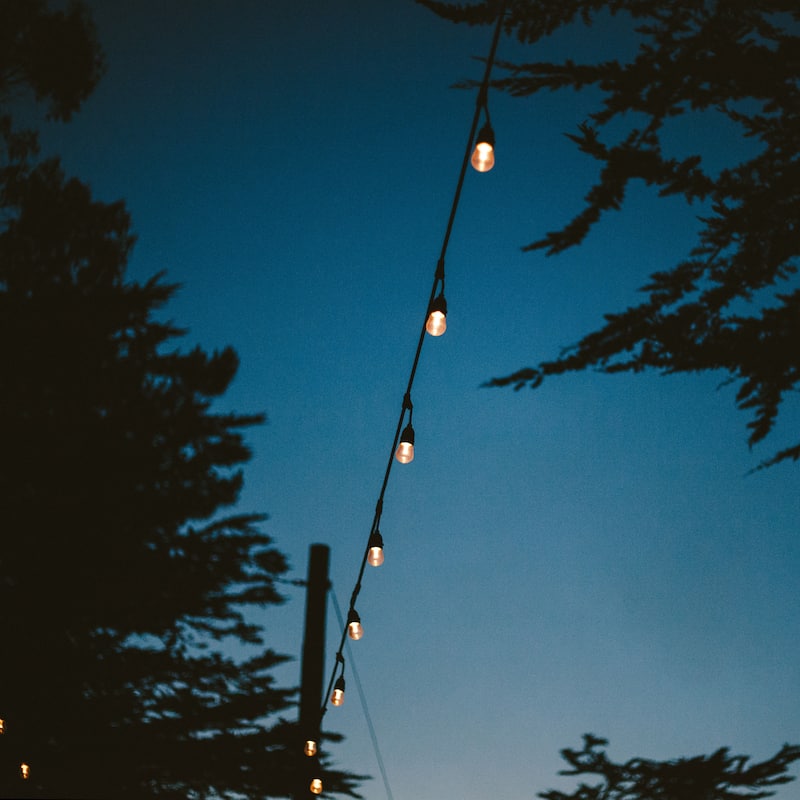 Bulbrite 14 ft Indoor/Outdoor 10-Socket (E26) Decorative String Light Kit, Black