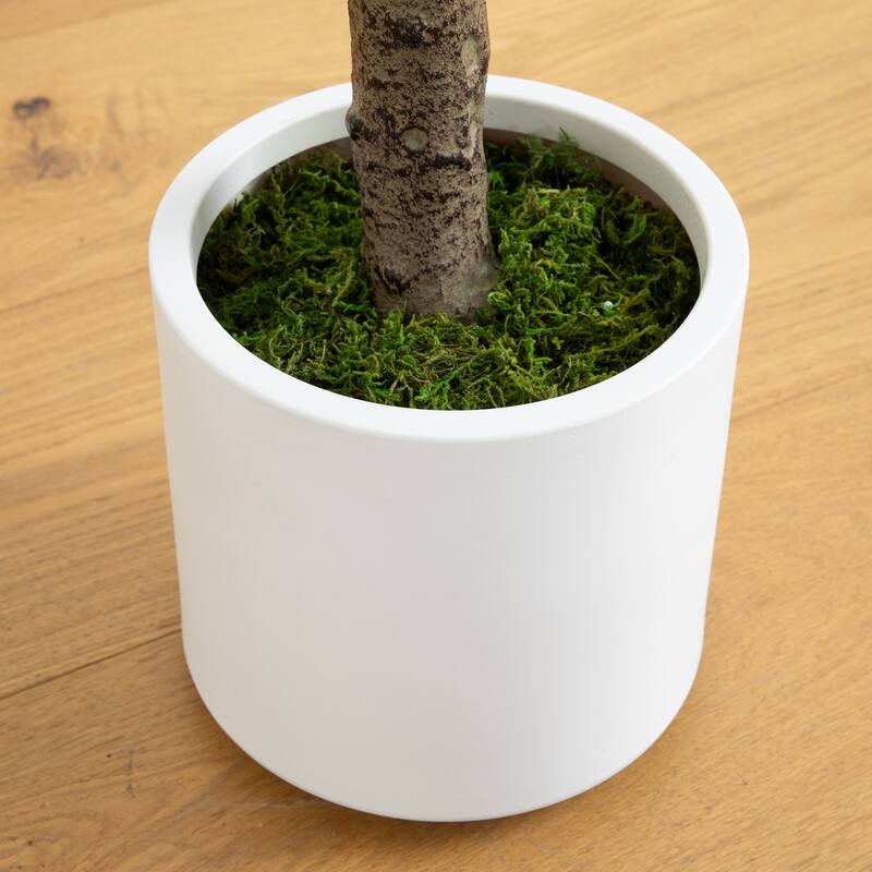 Jacaranda Leave Artificial Tree with White Planter - 6' - Green