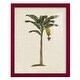preview thumbnail 73 of 137, UA CH British Palms III -Framed Print w/glass-Cherry Red 12x15 - Red