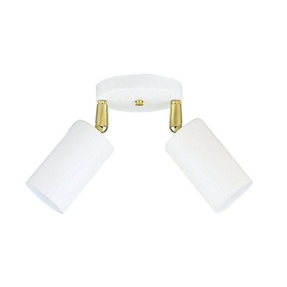 Westinghouse 66682 2-Light Multi-Directional Ceiling Fixture, White