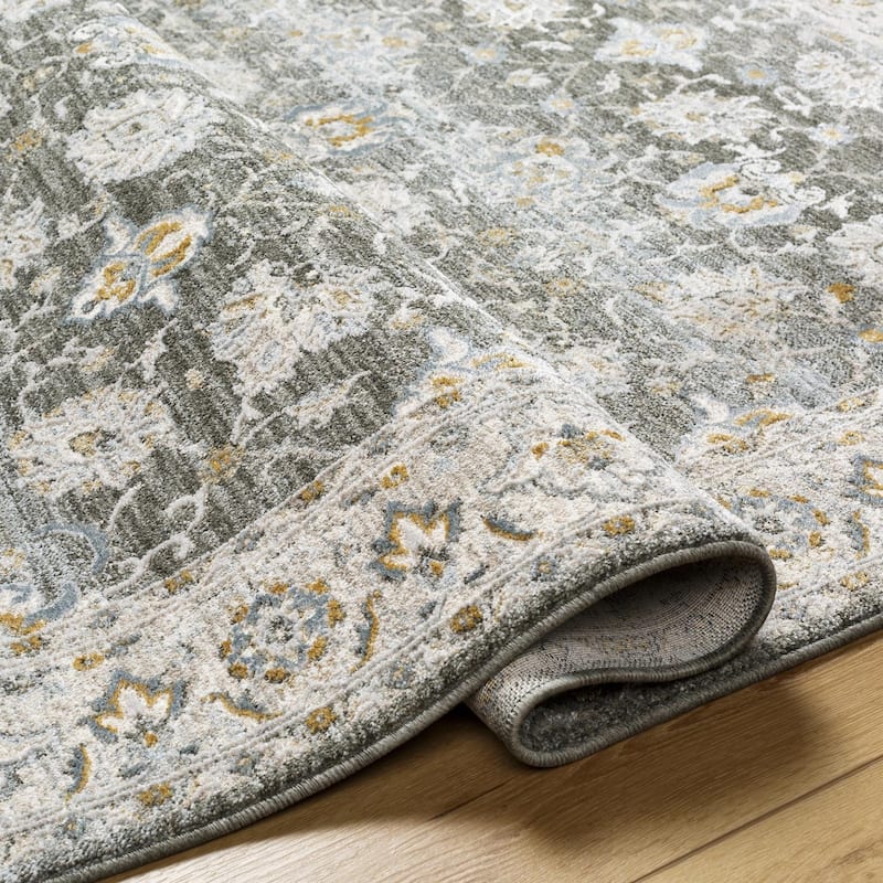 Livabliss Dresden Transitional Area Rug