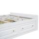 Option White