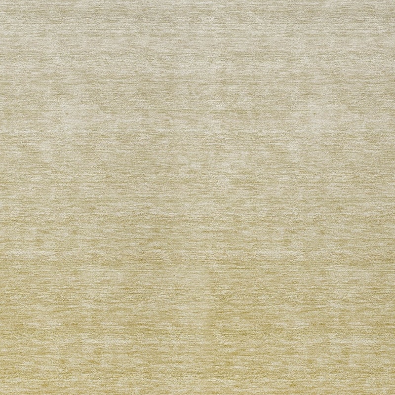 HomeRoots Ombre Transitional Rectangle Outdoor Rug