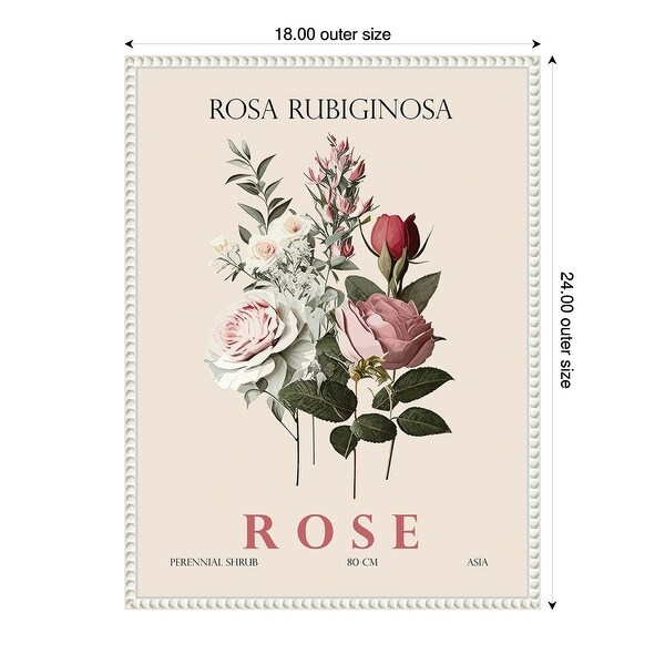 Vintage Botanical Rose Illustration by Christopher Giampietro