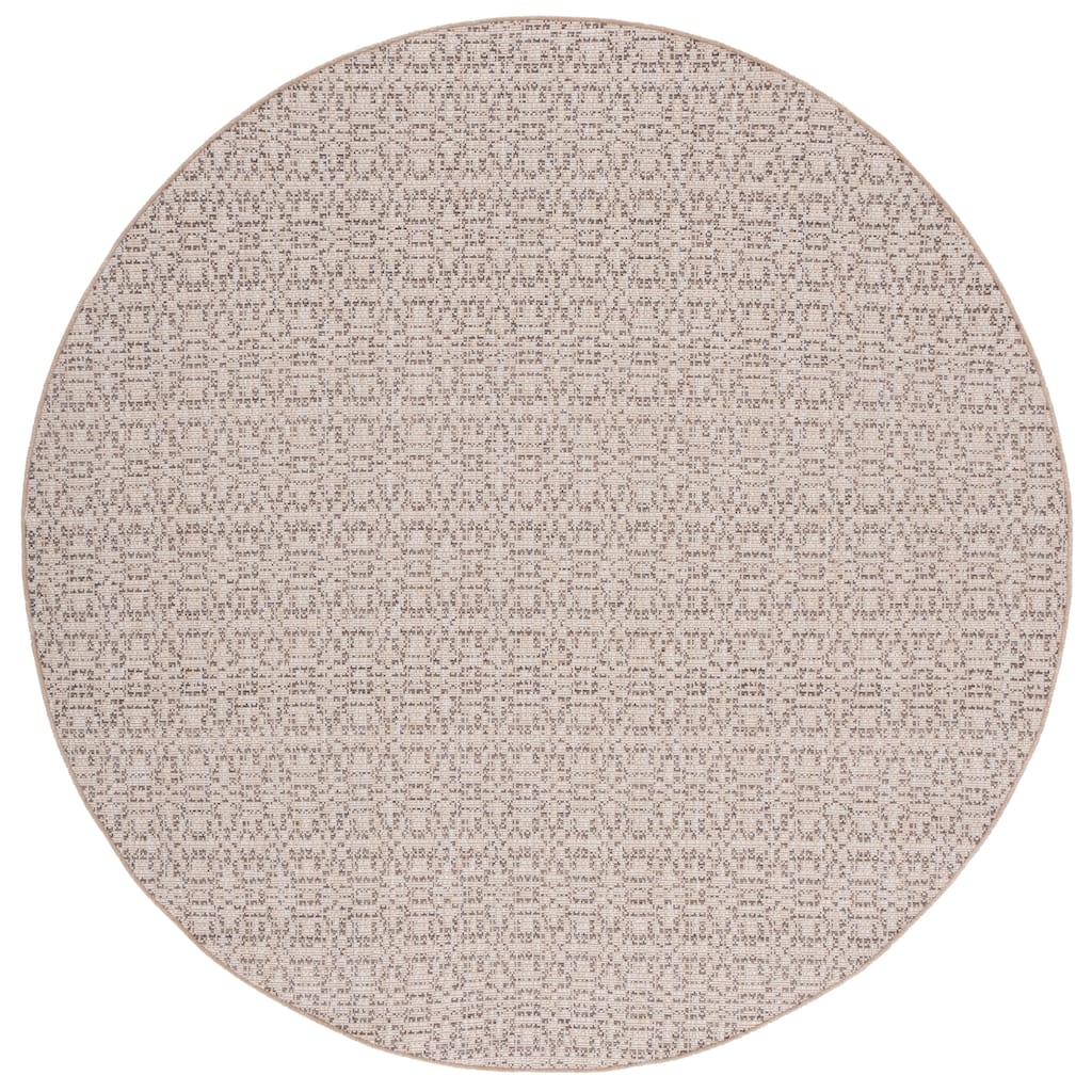 SAFAVIEH Sisal Sneha Performance Indoor/Outdoor Rug