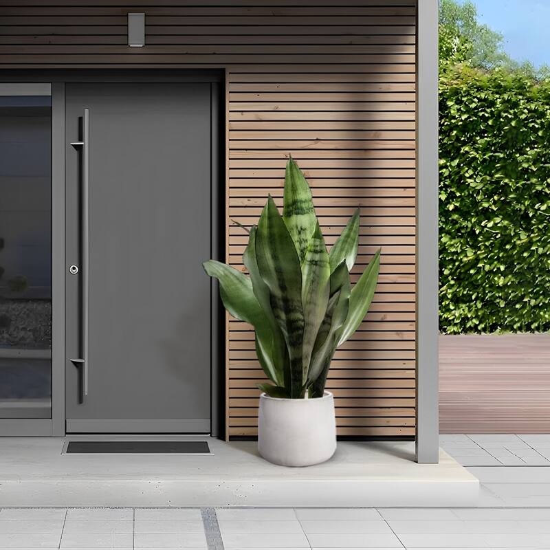 Handmade Ceramic Planter Set of 4 - Perfect for Succulents & Cacti