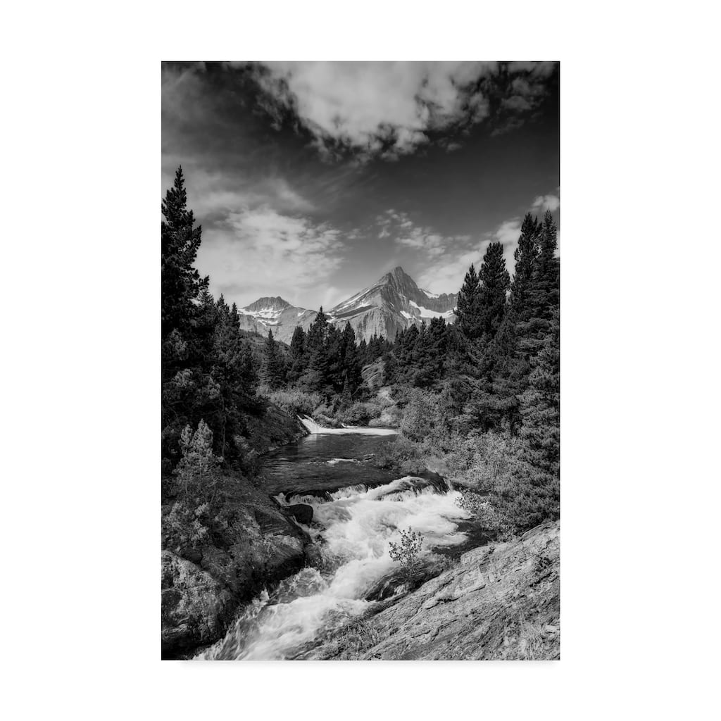 Michael Blanchette Photography 'Glacial Creek Monochrome' Canvas Art
