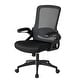 preview thumbnail 2 of 3, Ergonomic Mesh Computer Chair Office Chair With Headrest Lumbar Support 5 Wheels For Grown-ups Women Men
