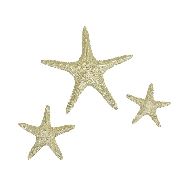 Brewster X67600B Habitat Yelton 6" x 12" Starfish Resin Wall Sculpture - Set of (3) - Metallic