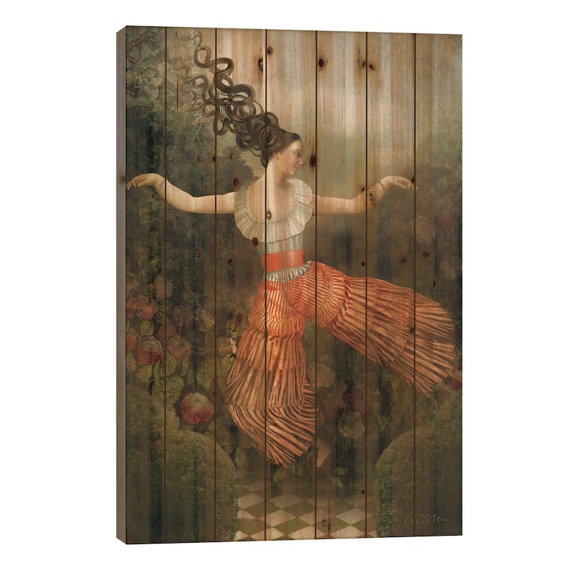 The Warrior Print On Wood by Catrin Welz-Stein - Multi-Color - 26x18x1.5