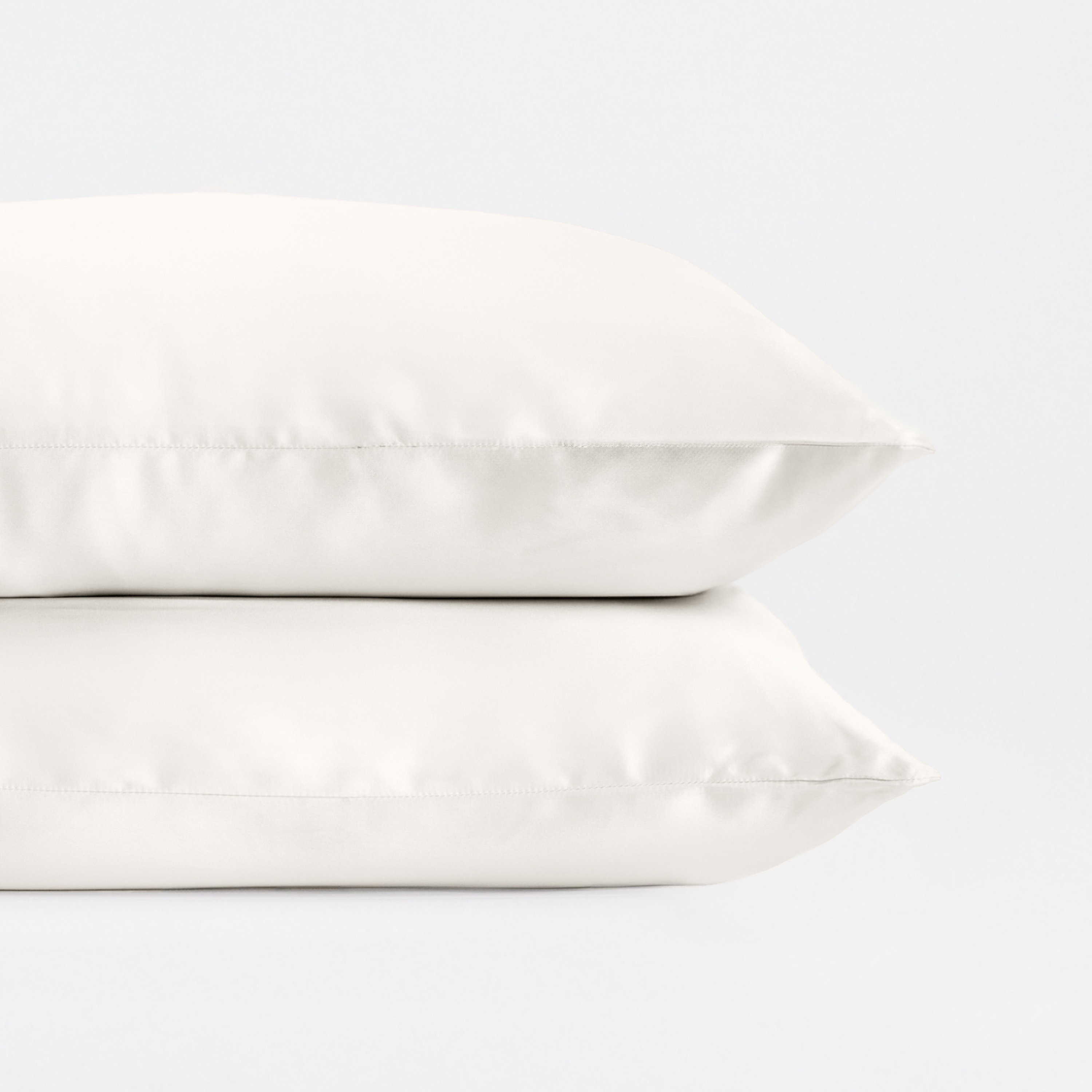 Becky Cameron 100% Mulberry Silk Zippered Pillowcase 2 Piece Set