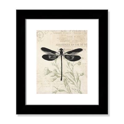 Vintage Insects - 16.5'' x 14.5''
