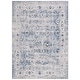 preview thumbnail 38 of 40, SAFAVIEH Odyssey Dido Shabby Chic Oriental Rug