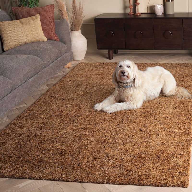 SAFAVIEH Handmade Gabbeh Andrina Southwestern Rug