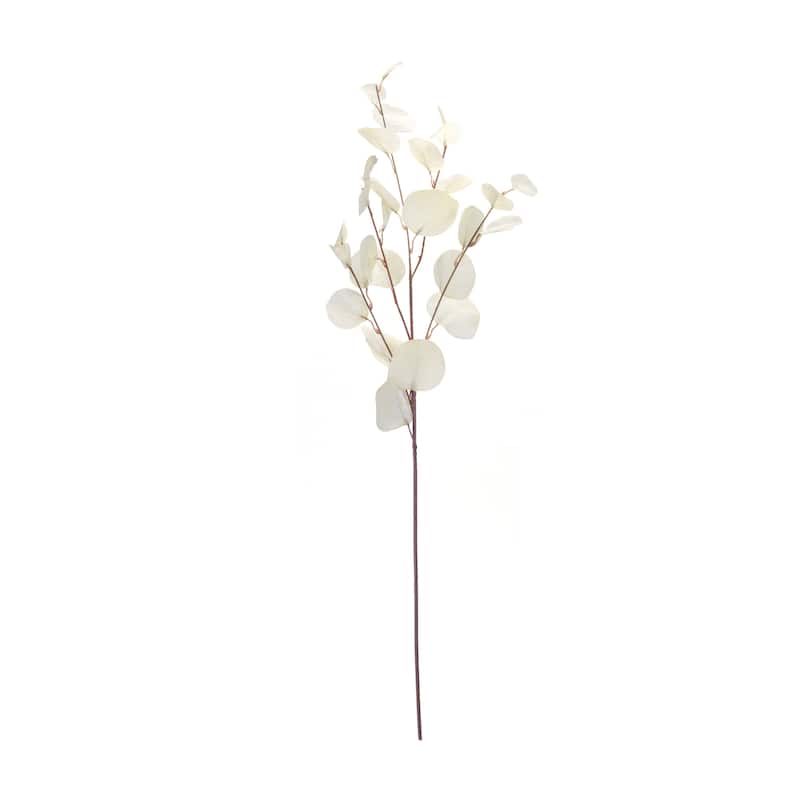 Eucalyptus Spray (Set of 6) - 8 x 2.5 x 34