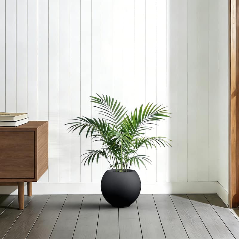 Concrete Round Planter / Pot Indoor & Outdoor