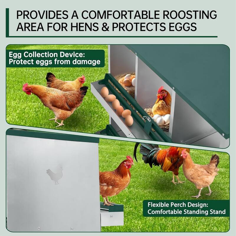 Wall-Mount or Free-Standing Metal Chicken Nesting Box for Backyard Coops, Green