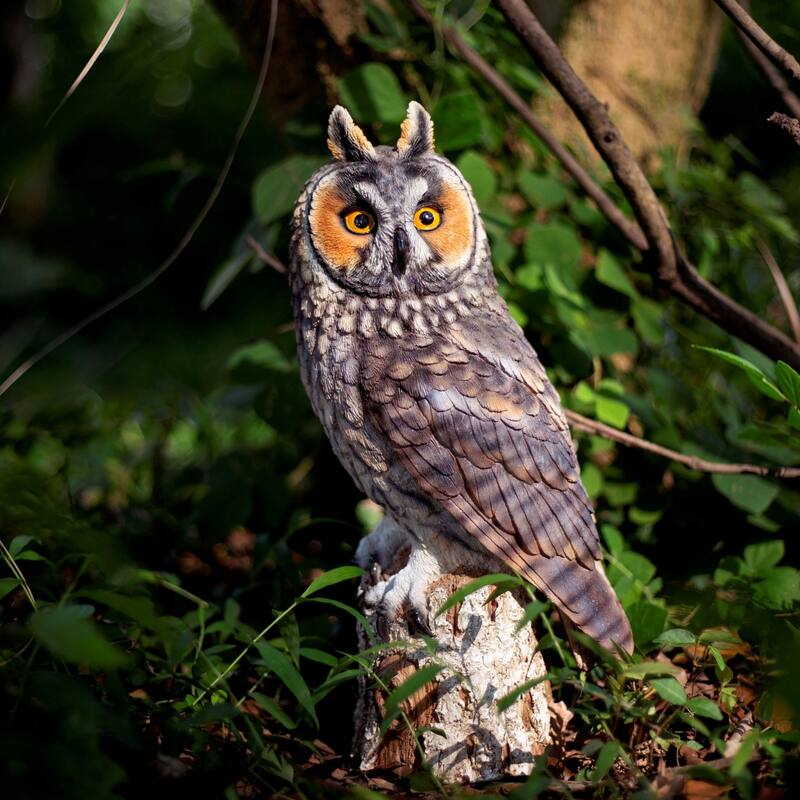 Long Eared Owl Standing on Branch Outdoor Garden Statue - 13.5"
