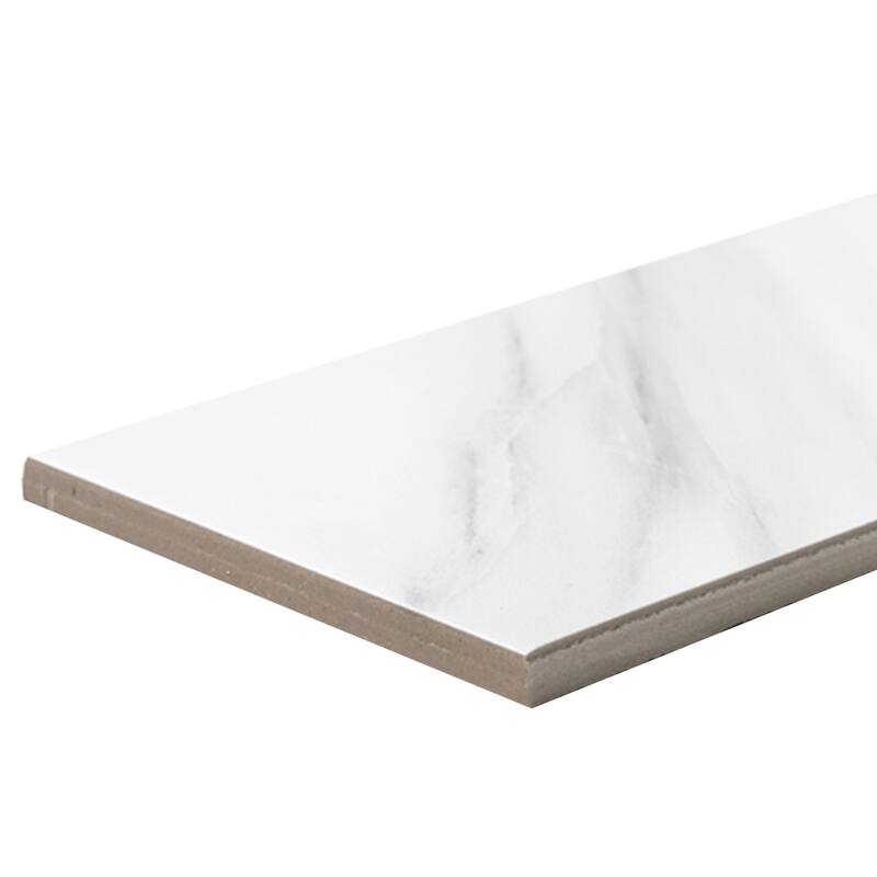 The Tile Life Tmolus 4x13 Porcelain Floor and Wall Tile