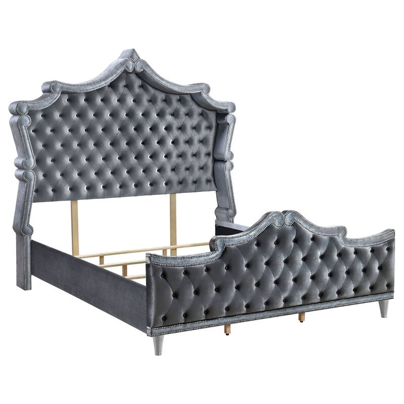 Antonella Modern Classic Velvet Upholstered Panel Bed