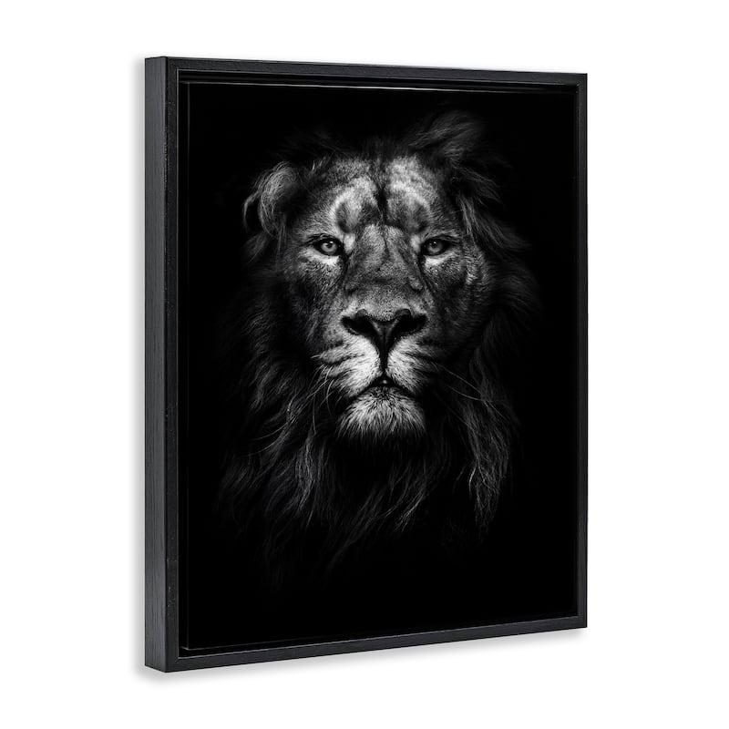 Stupell King of the Jungle Lion In Shadows Black and White Photography Floater Frame