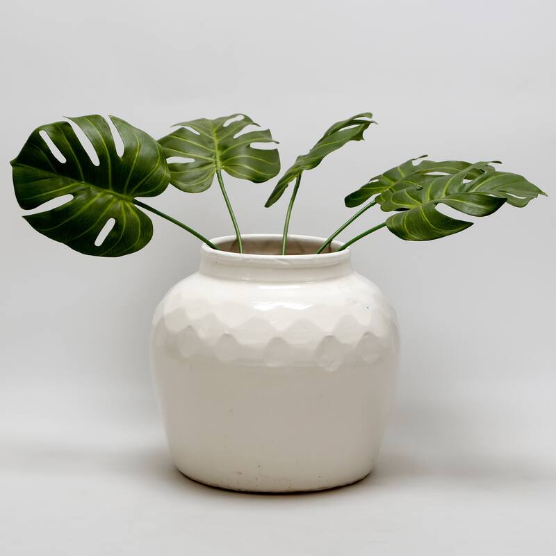 Artissance 11 in. W Round White Ceramic Jar