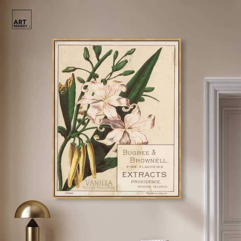 Vanilla Planifolia Canvas by Art Remedy