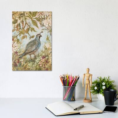 iCanvas "Quail Steps Out" by Lisa Marie Kindley Canvas Print