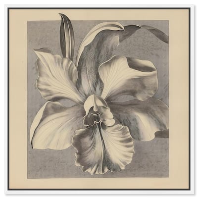 Petals Unfurled II Canvas by Art Remedy