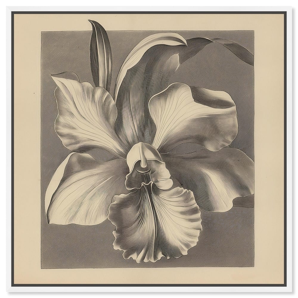 Petals Unfurled II Canvas by Art Remedy