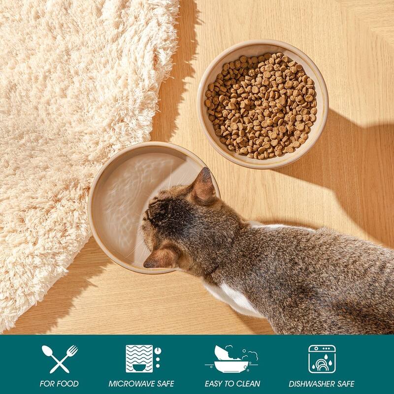 vancasso Elevated Stoneware 2-Piece Raised Dog & Cat Bowl Set