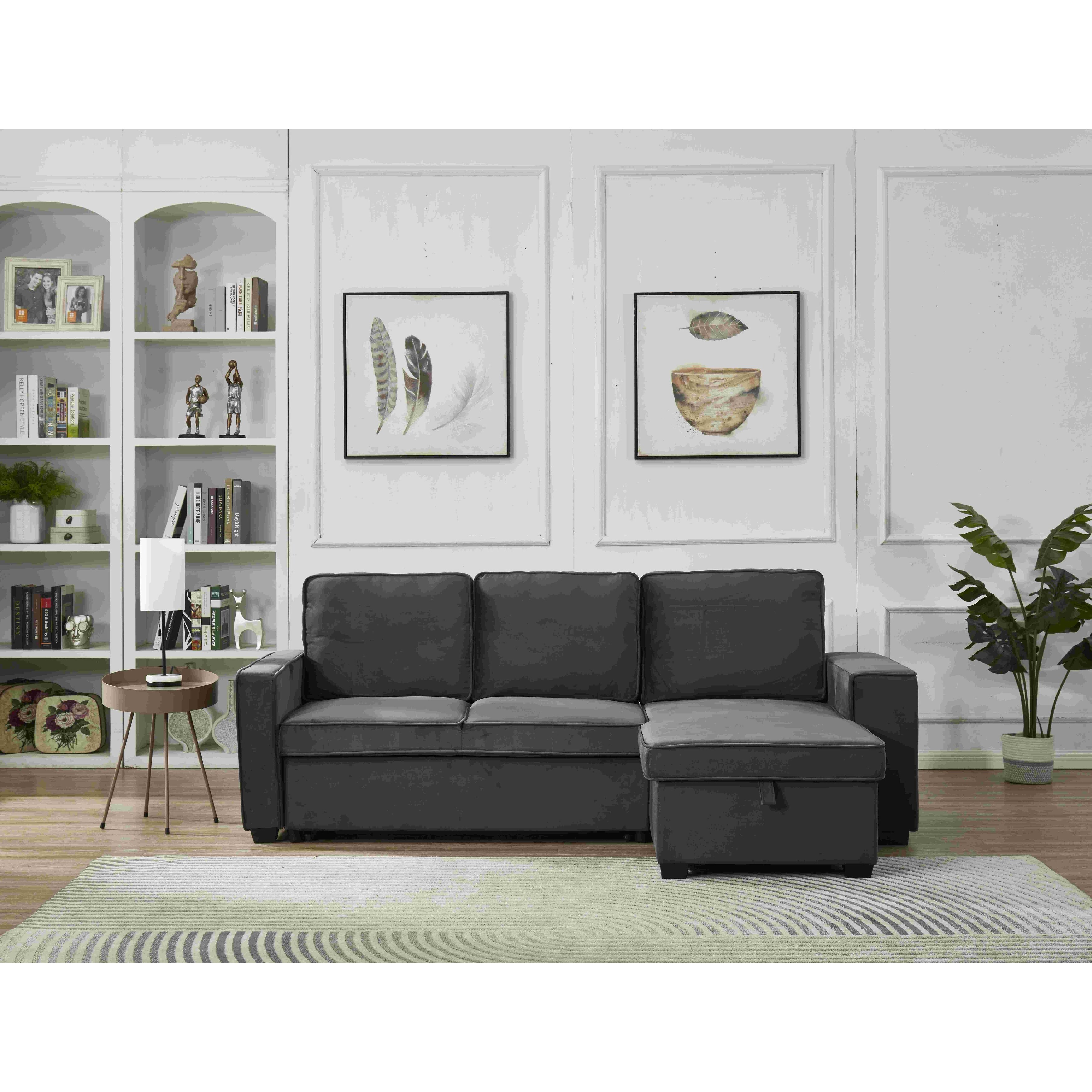 Newton sleeper sofa online with storage chaise
