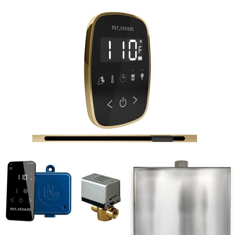 Mr Steam BFL Butler Flex Linear Package Steam Shower Control Package - Black / Satin Brass