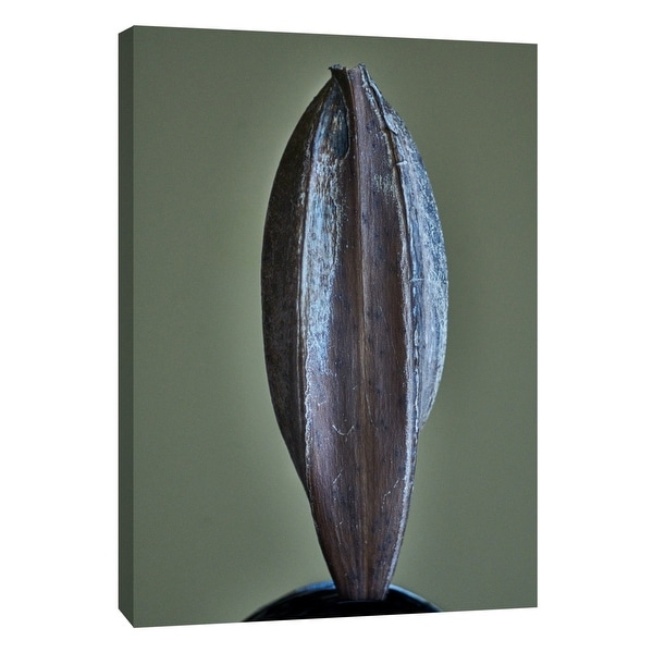 PTM Images 9-108363 PTM Canvas Collection 10" x 8" - "Hawaii Leaf E" Giclee Flowers Art Print on Canvas