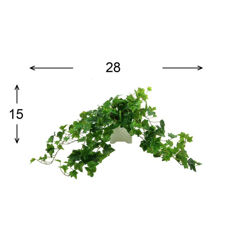 Ivy Arrangement in Square Ceramic Pot - Green