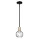 Option Clear Water Glass / Black Antique Brass