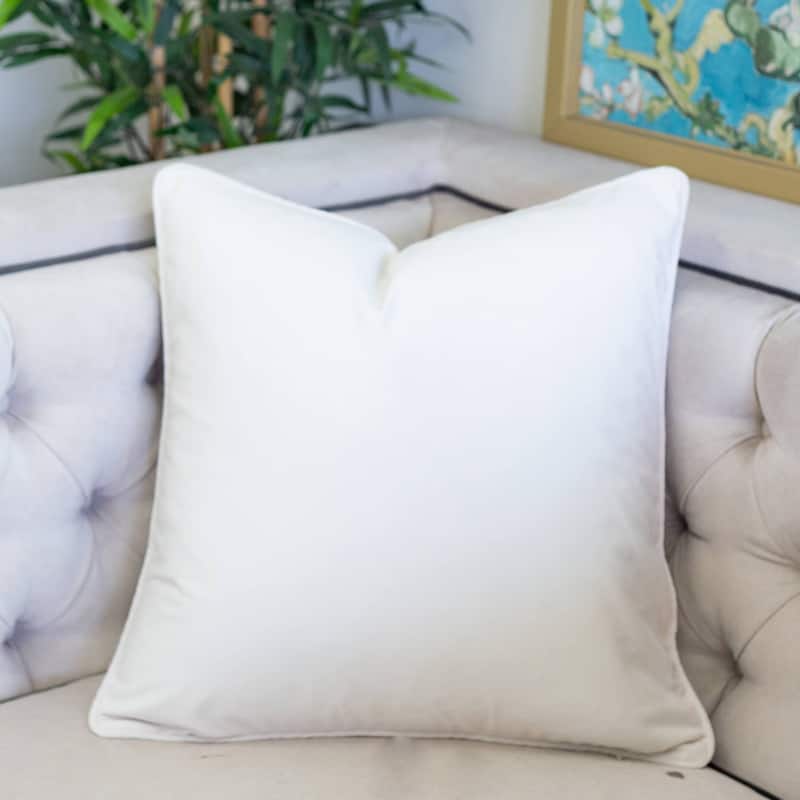 Elisa Velvet 20" Square Decorative Throw Pillow 2PK