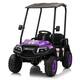 Option Purple