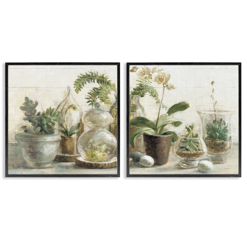 Stupell Succulent House Plants Country Charm Green Brown,2pc Multi Piece Framed Wall Art Set - 12 x 12 - Black