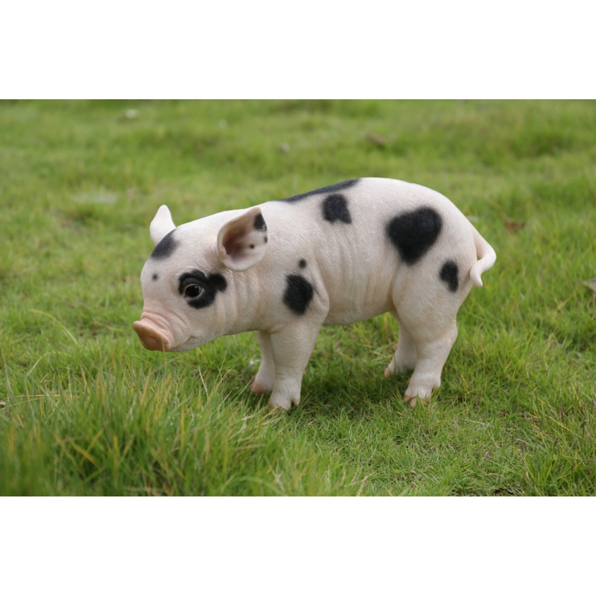 Standing Baby Pig With Black Spots - On Sale - Bed Bath & Beyond