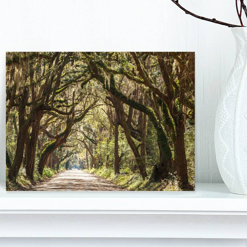 Designart "Trees Tunnel in Botany Bay" Landscape Print Wall Art - 12 in. wide x 8 in. high - 1 Panel