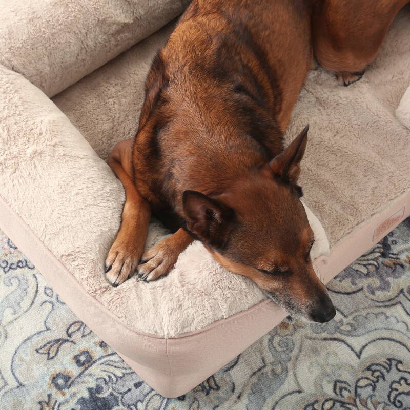 TOWN & COUNTRY EVERYDAY CuddleTown Comfy Solid Bolster Sofa Supportive Pet Bed