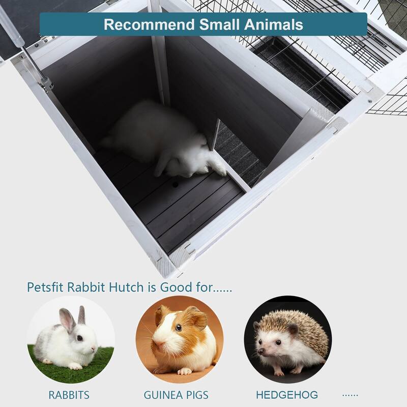 Pet Cage