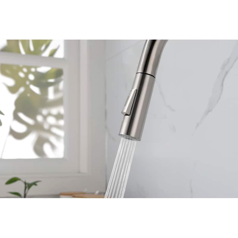 Kitchen Faucet with Pull Down Sprayer