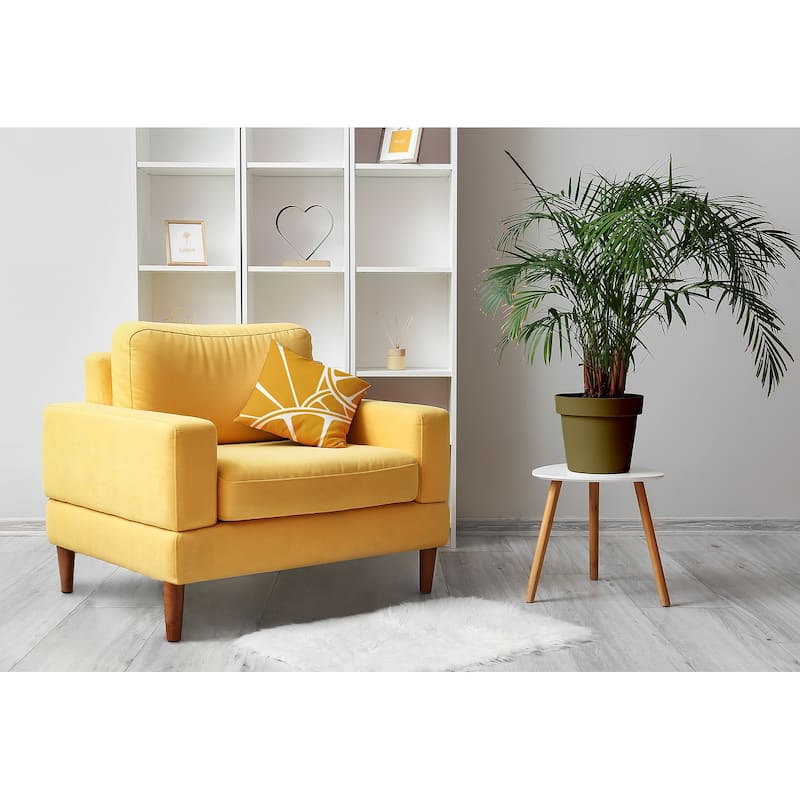 Fruit Wedges Decorative Throw Pillow