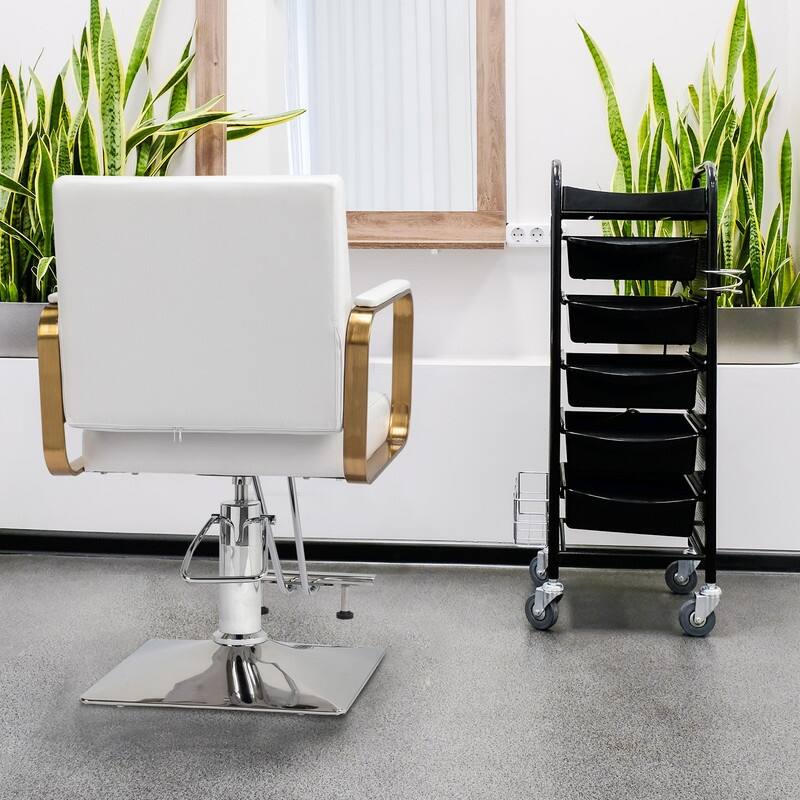 PVC Leather Stainless Steel Armrests Footrests Square Chassis Salon Chair - N/A