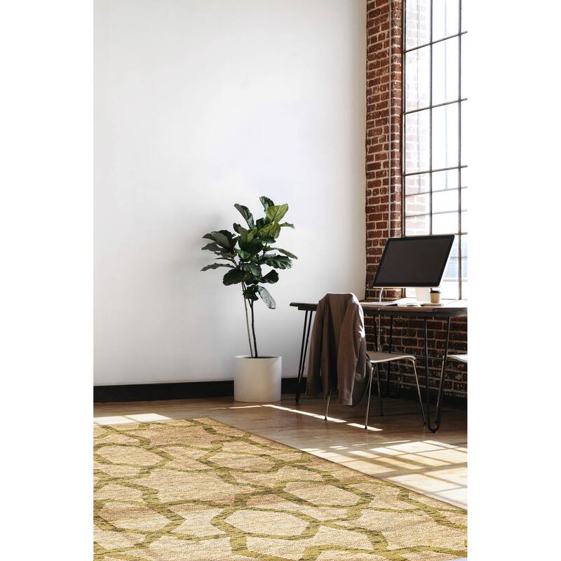 ECARPETGALLERY Braided Weave Palas Denizli Tan Jute, Rayon Rug - 5'4 x 7'6