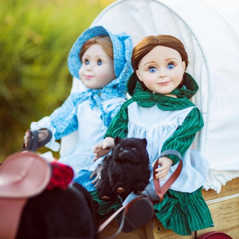 Shop Little House On The Prairie Realistic Black Susan Green